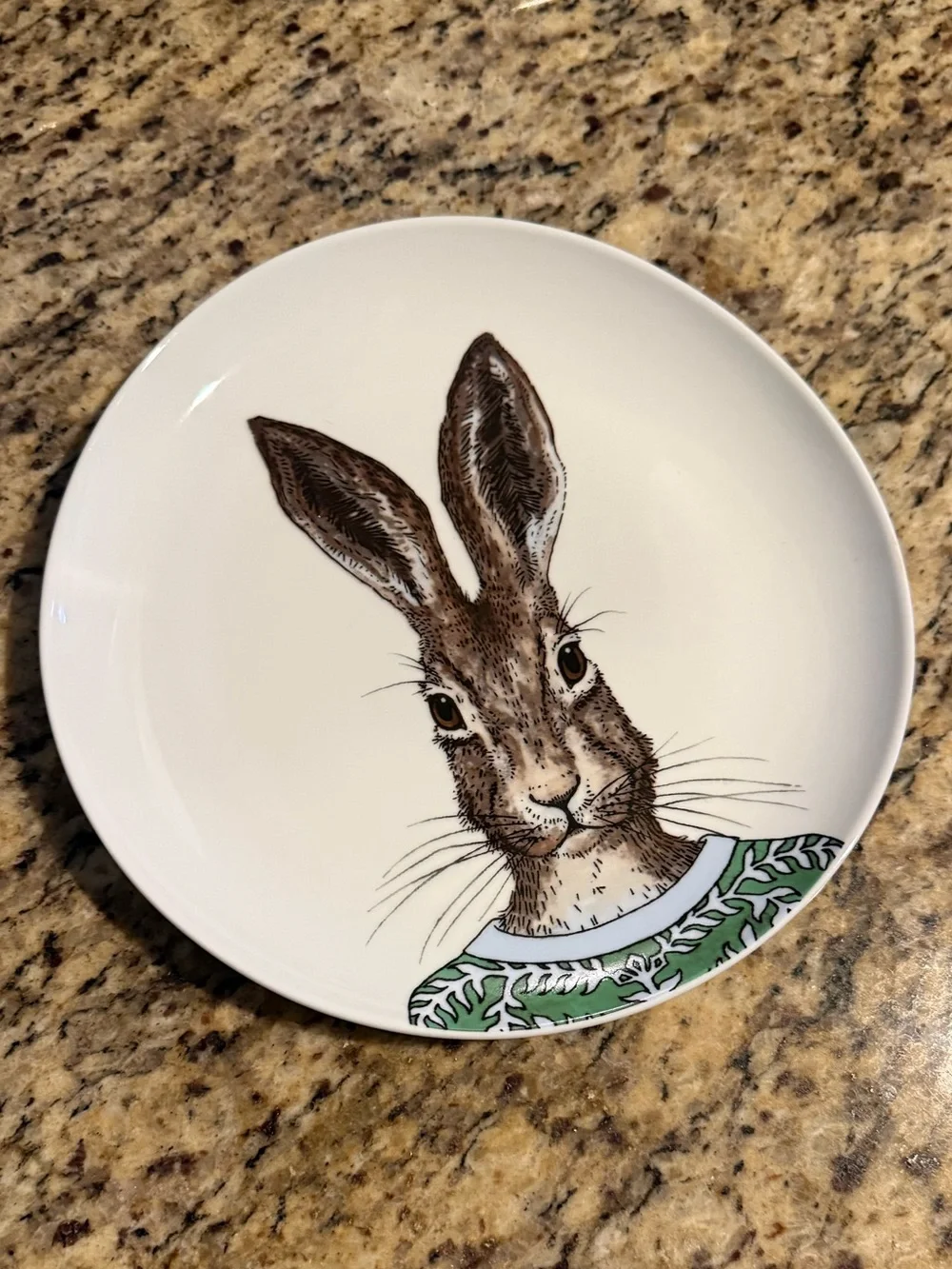 West Elm rachel kozlowski plate with Brown Hare and Green sweater dapper animal